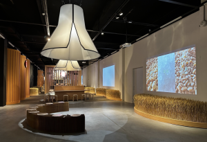 截圖 2026 01 09 下午3.34.27